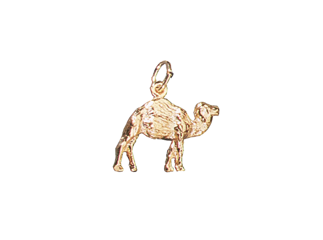 Camel Gold